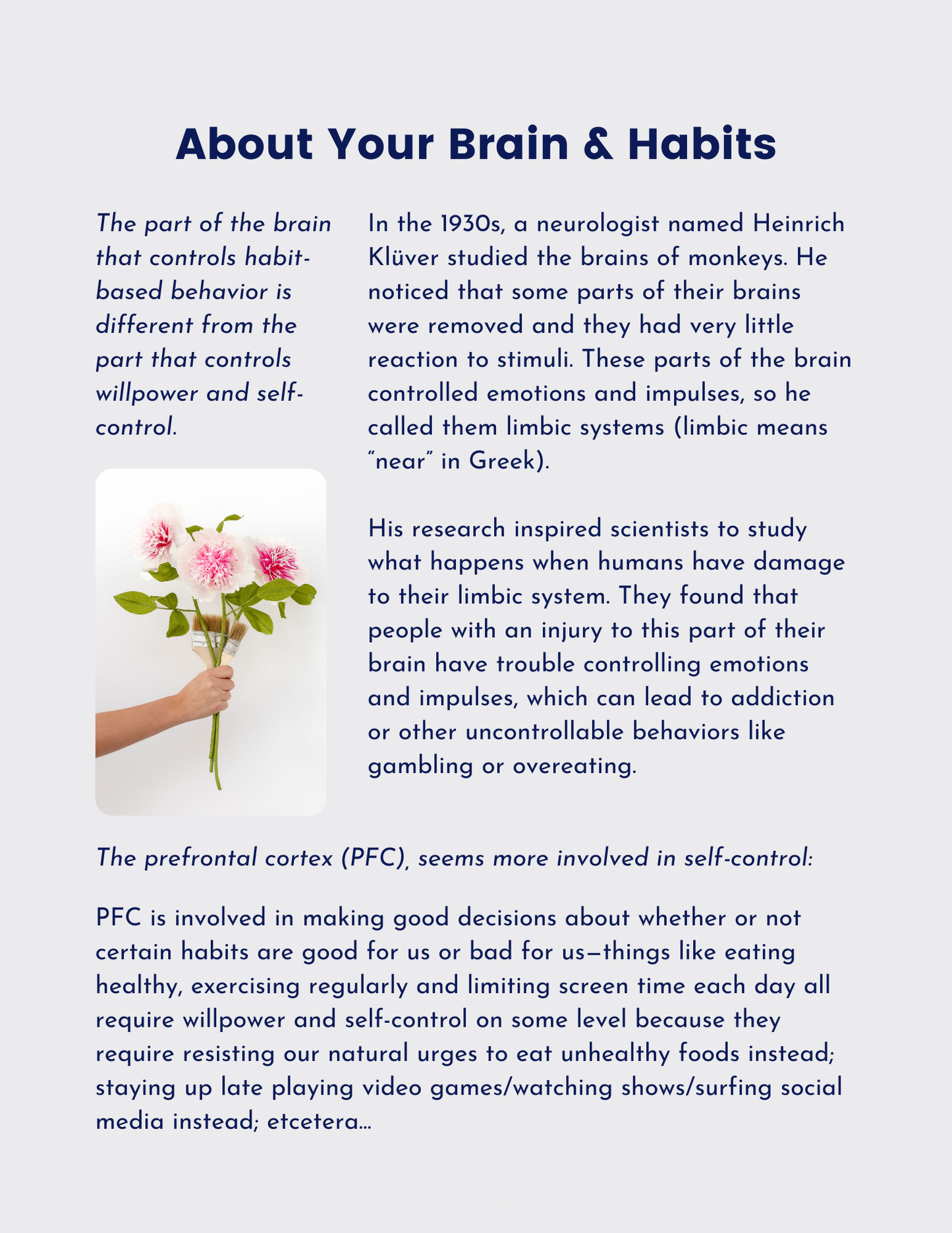 Customizable eBook Template – Canva Design
