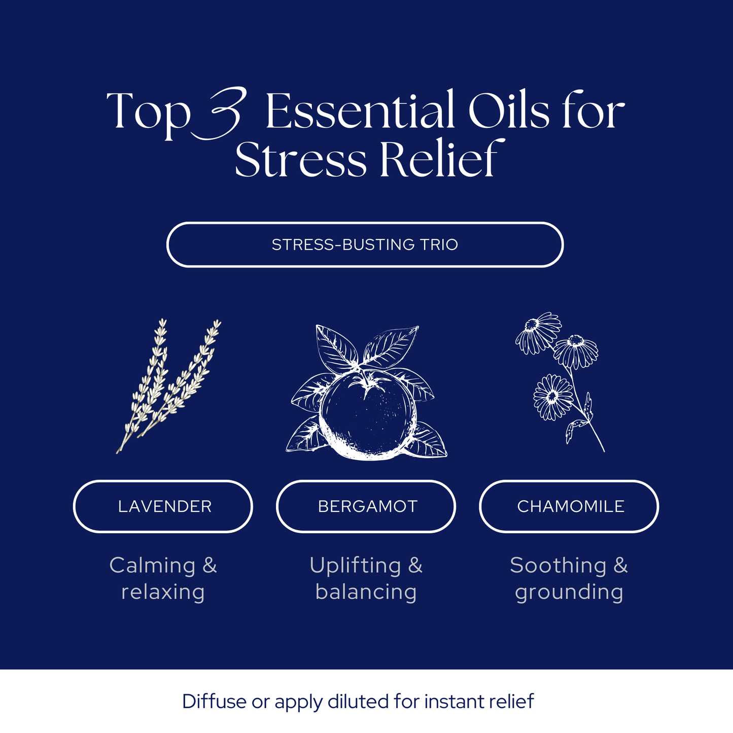 Essential Oils Social Media Templates | 35 Editable Canva Posts - The Simple Marketing Shop