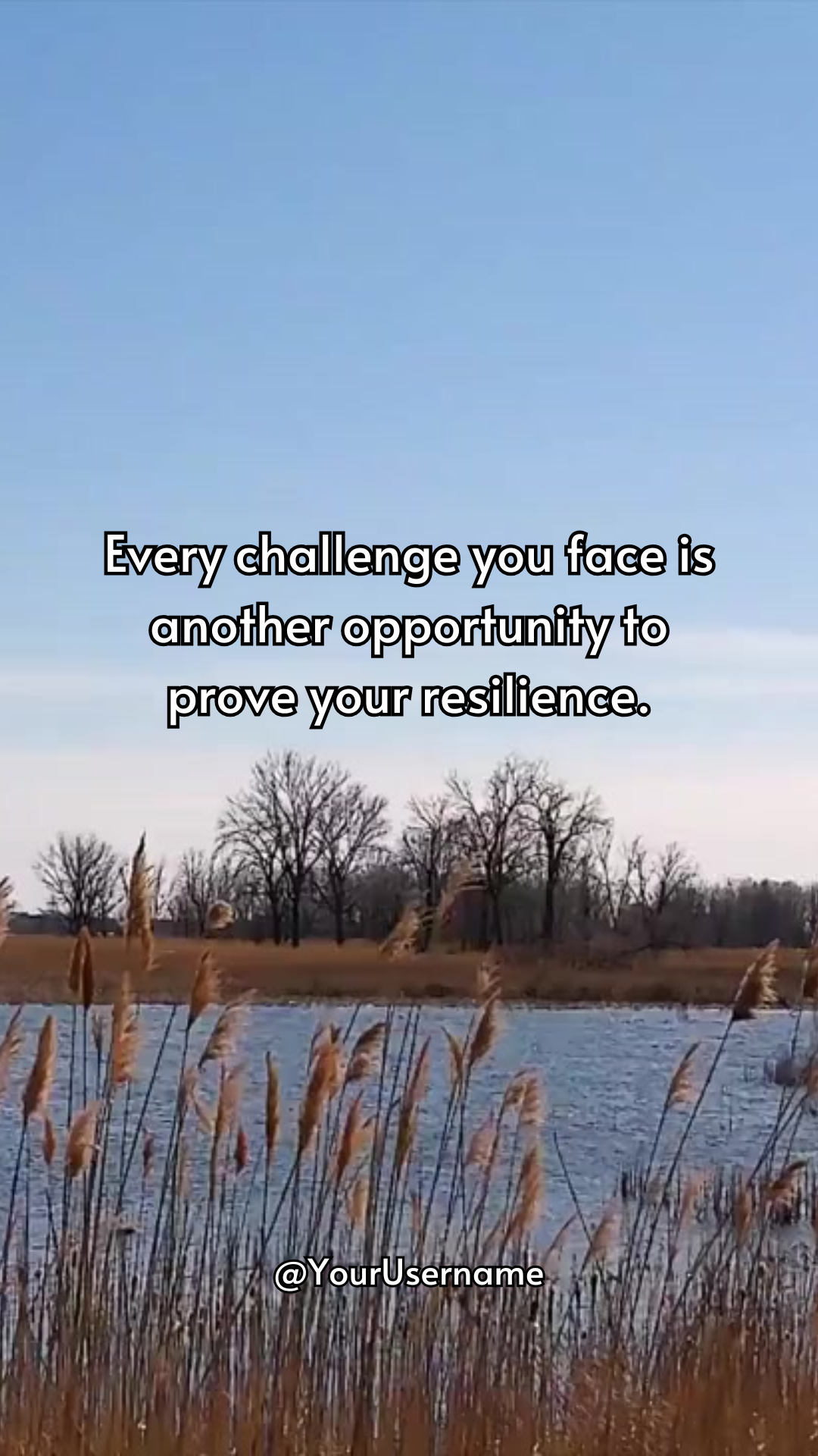 Resilience - 50 Reel Video Templates