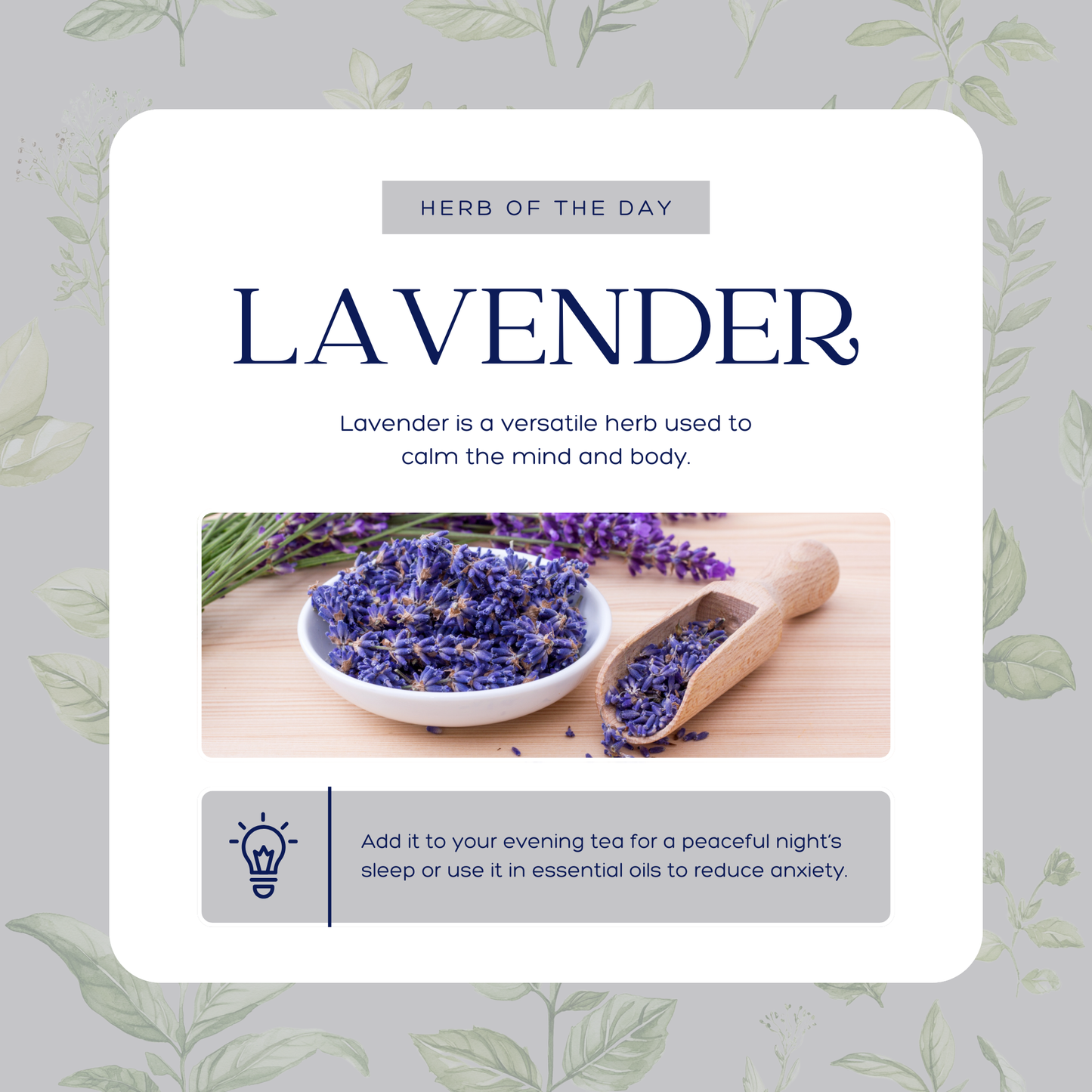 50 Herbal Social Media Templates – Editable Canva Posts for Herbalists & Wellness Brand - The Simple Marketing Shop