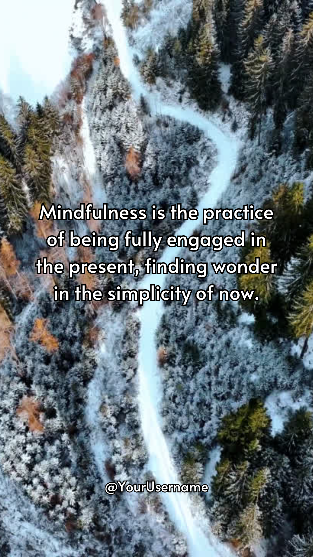 Mindfulness - 50 Videos